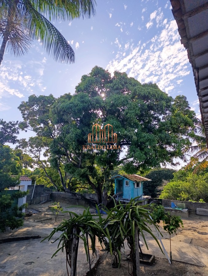 Casa, 3 quartos - Foto 33