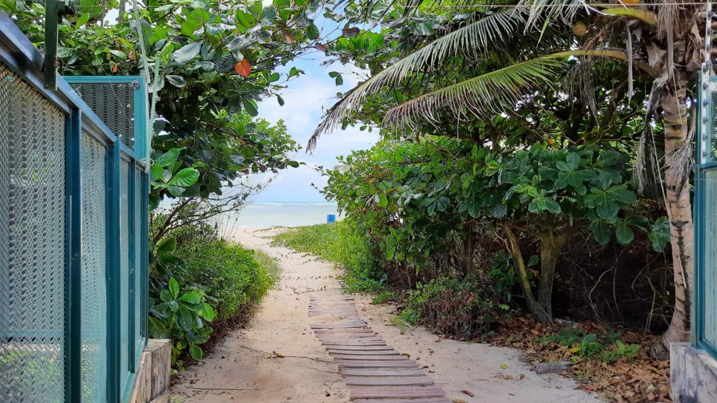 Terreno, 560 m² - Foto 7