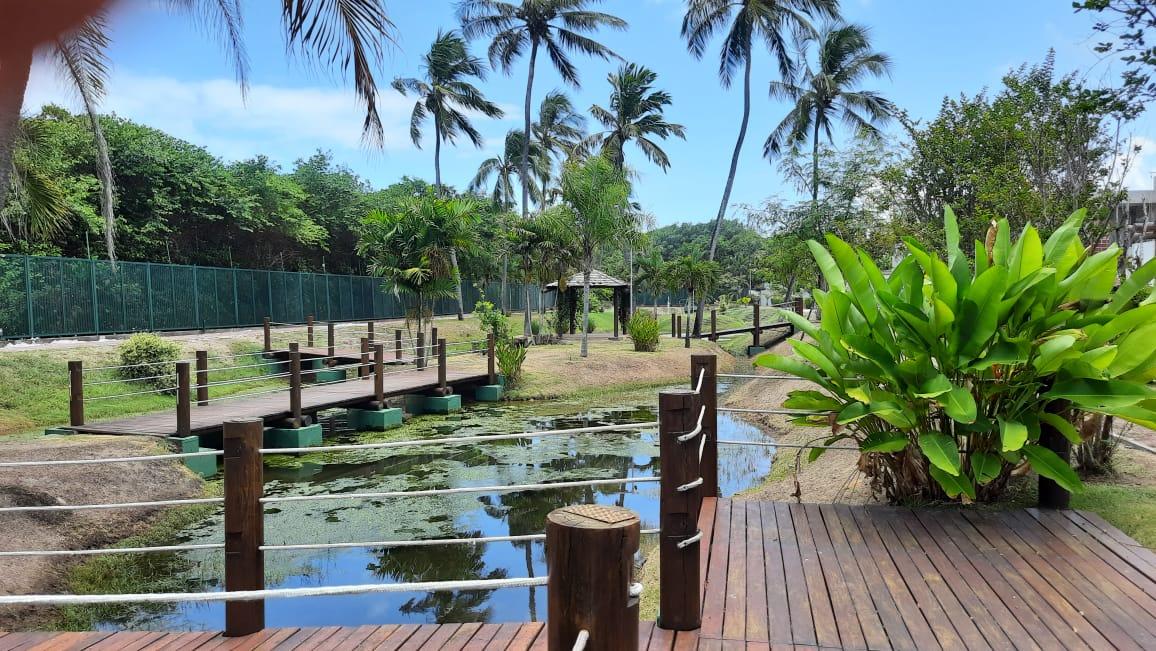 Terreno, 560 m² - Foto 9