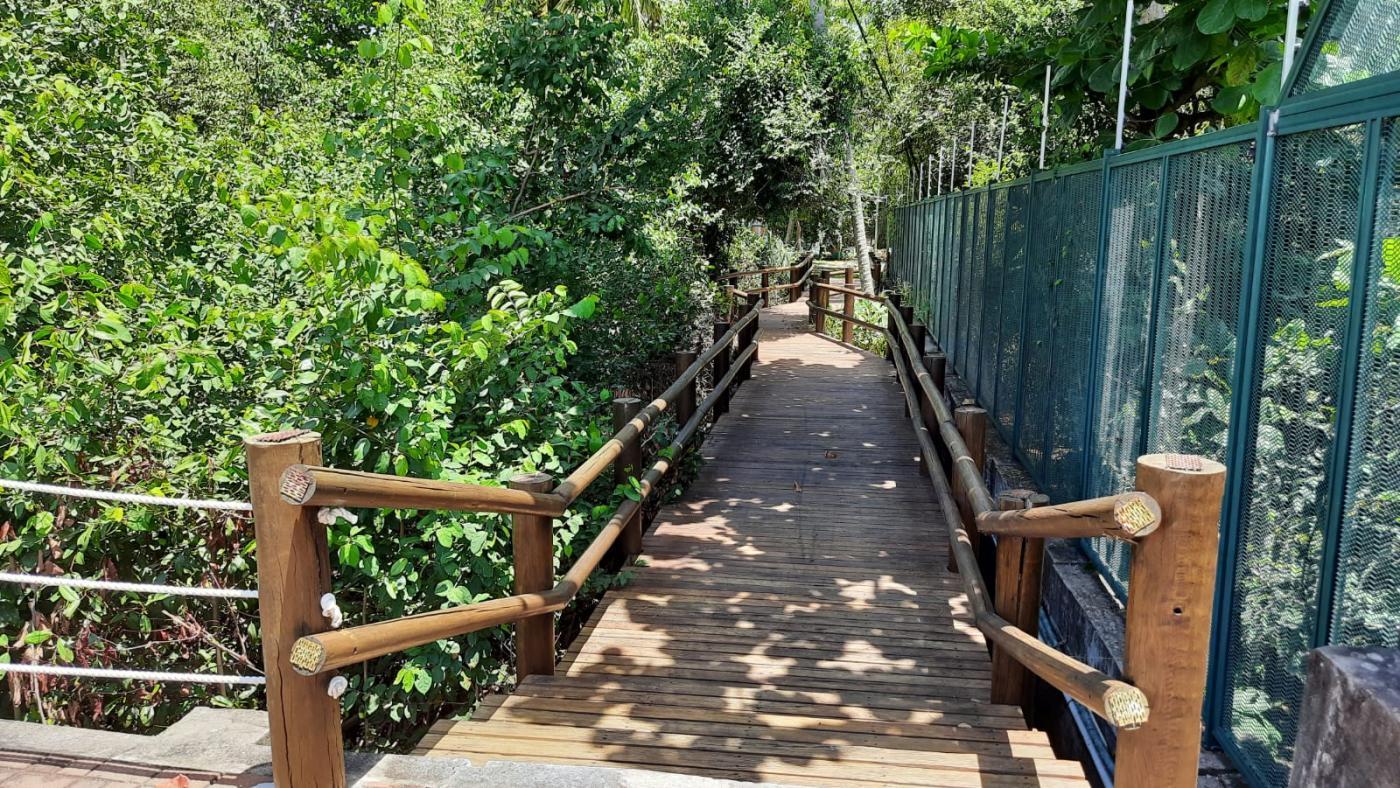 Terreno, 560 m² - Foto 13