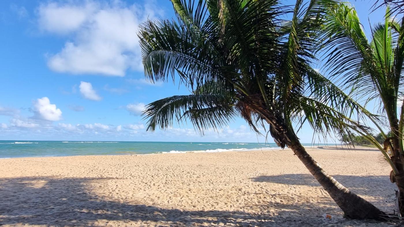 Terreno, 560 m² - Foto 16