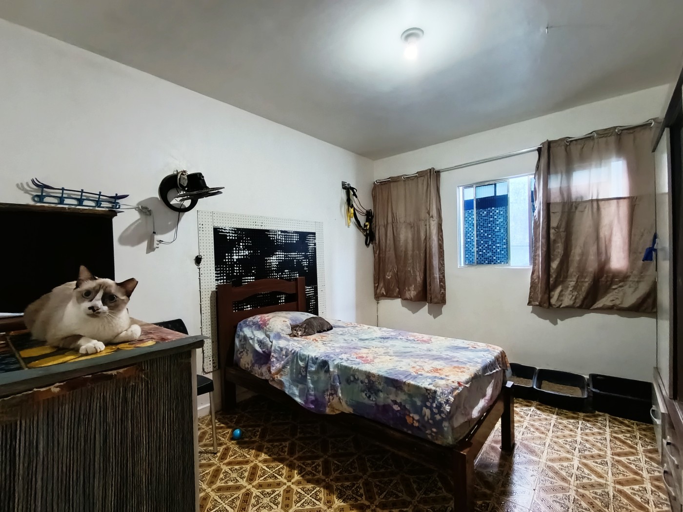 Casa à venda com 2 quartos, 209m² - Foto 12